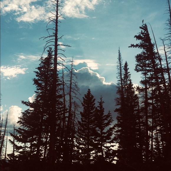 Hi I’m Ehmree! - Picture 1 of 1